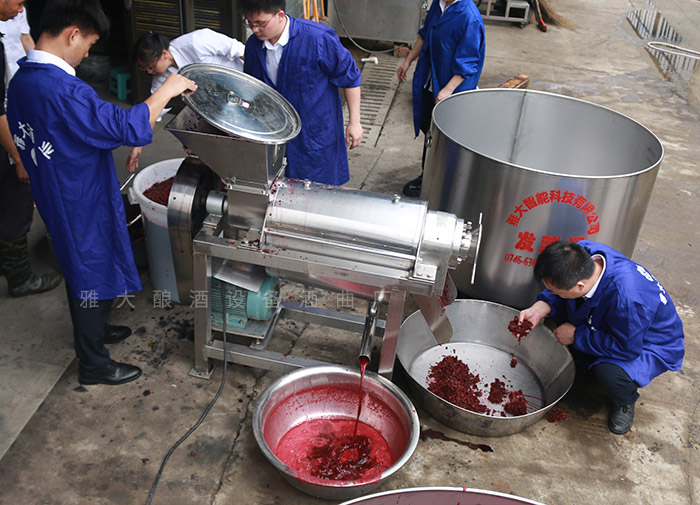 雅大酒业发酵技术,雅大果酒酿酒技术