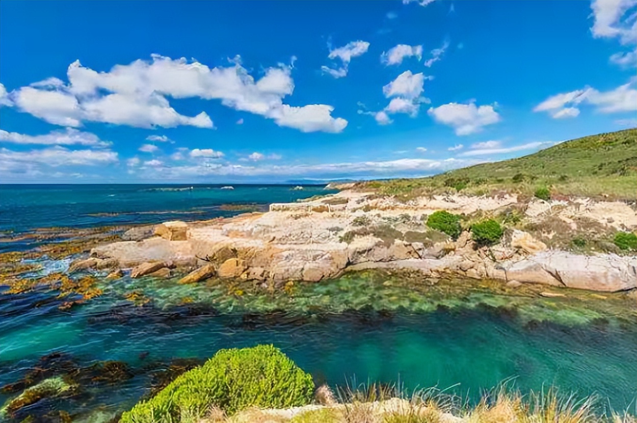 新西兰的自然资源条件,新西兰对自然环境的保护
