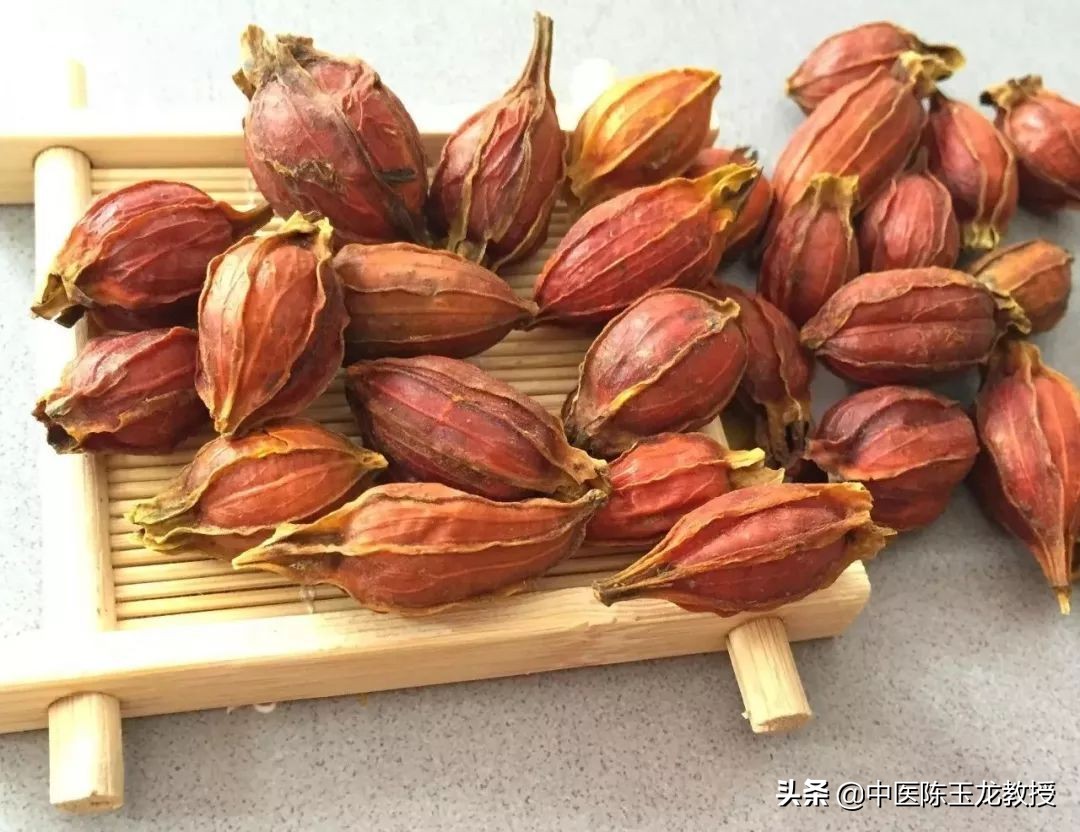 八正散加桂枝茯苓丸治疗前列腺炎,八正丸能治湿热瘀阻型前列腺炎