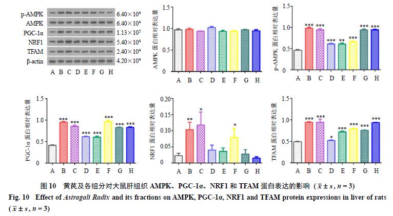 过量服用黄芪会导致胸闷头晕吗,过量服用黄芪会不会引起内寒