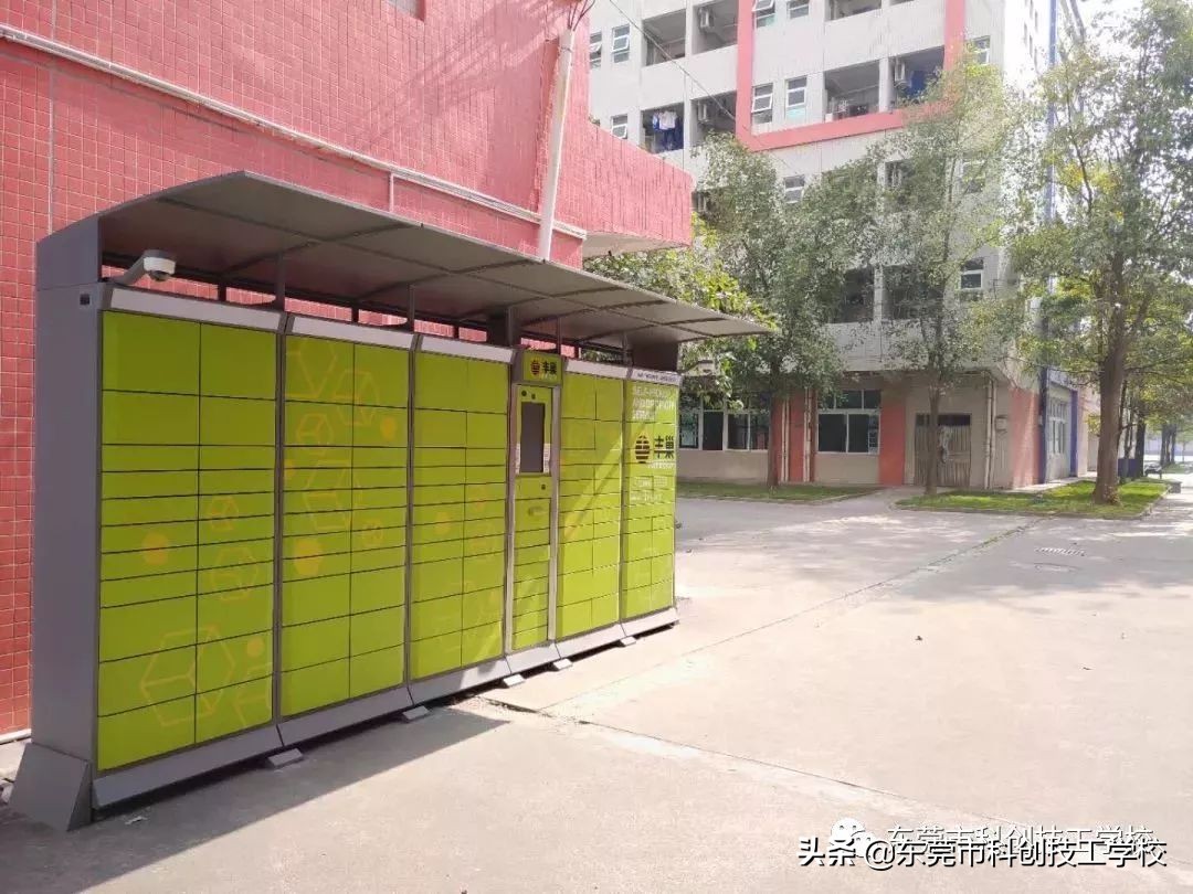 沉浸式体验校园生活的一天,东莞市技工学校推荐