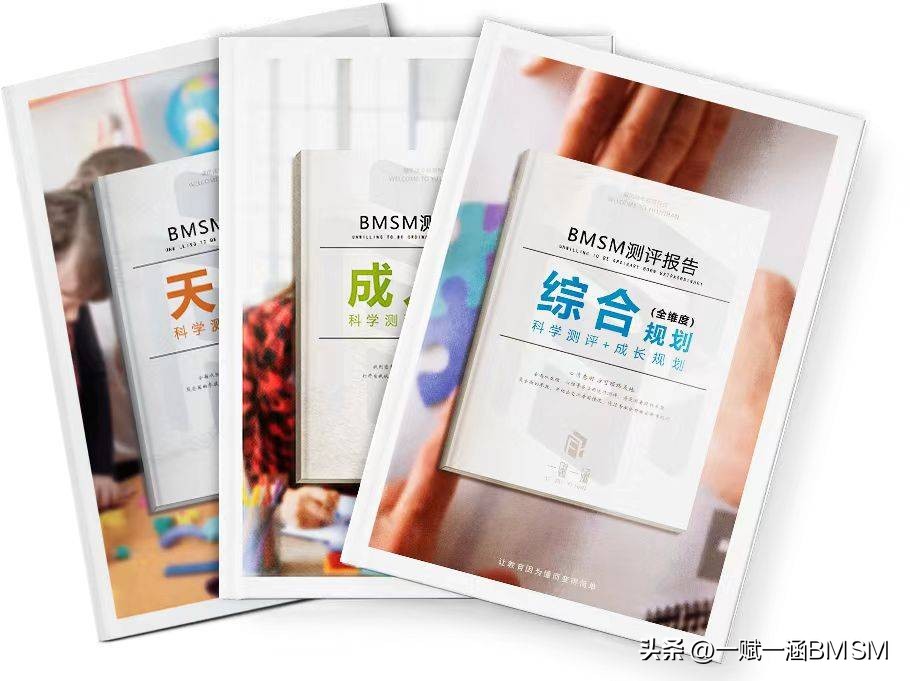 【一赋一涵BMSM天赋测评】复合型性格特点深度解析