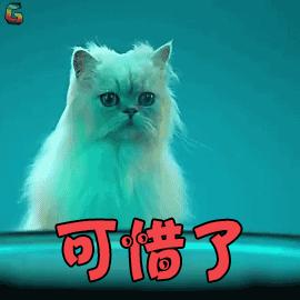 陈飞宇帅气超燃,陈飞宇金发冷颜