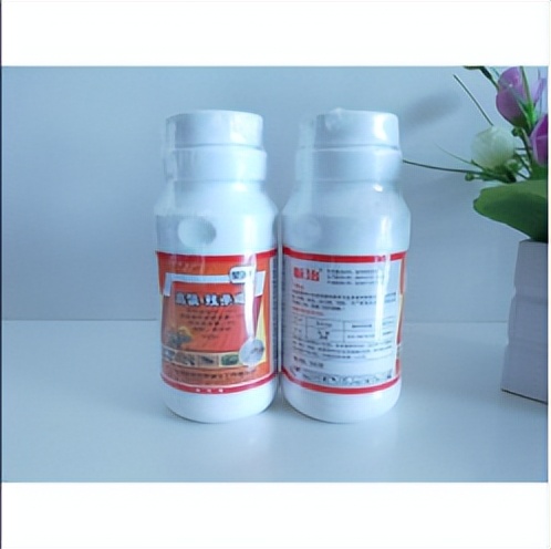 父母如何让孩子免于呕吐和腹泻