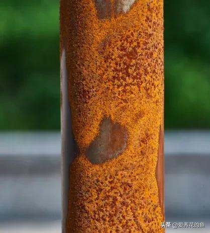 淘米水自制有机肥最简单方法,淘米水和水果皮做液肥