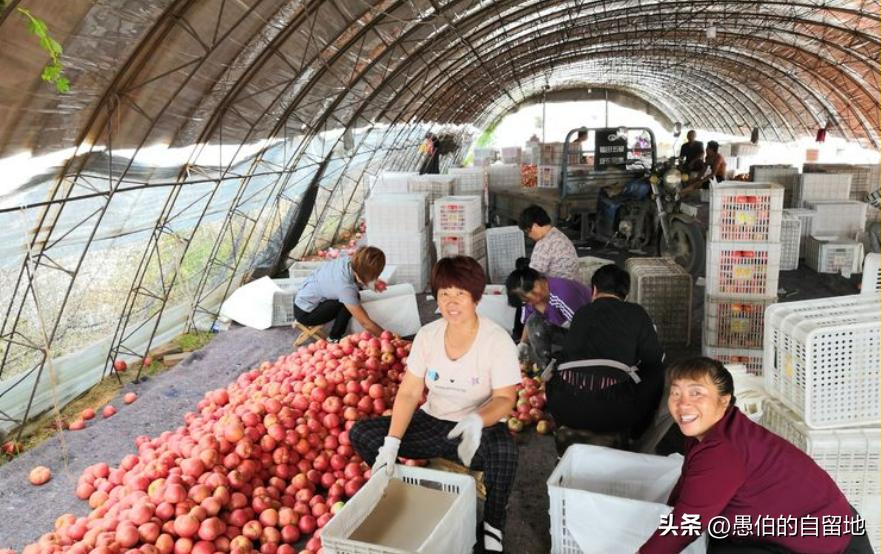 家里有大龄未婚孩子家长该怎么办,女儿大龄未婚已成为父母的心病