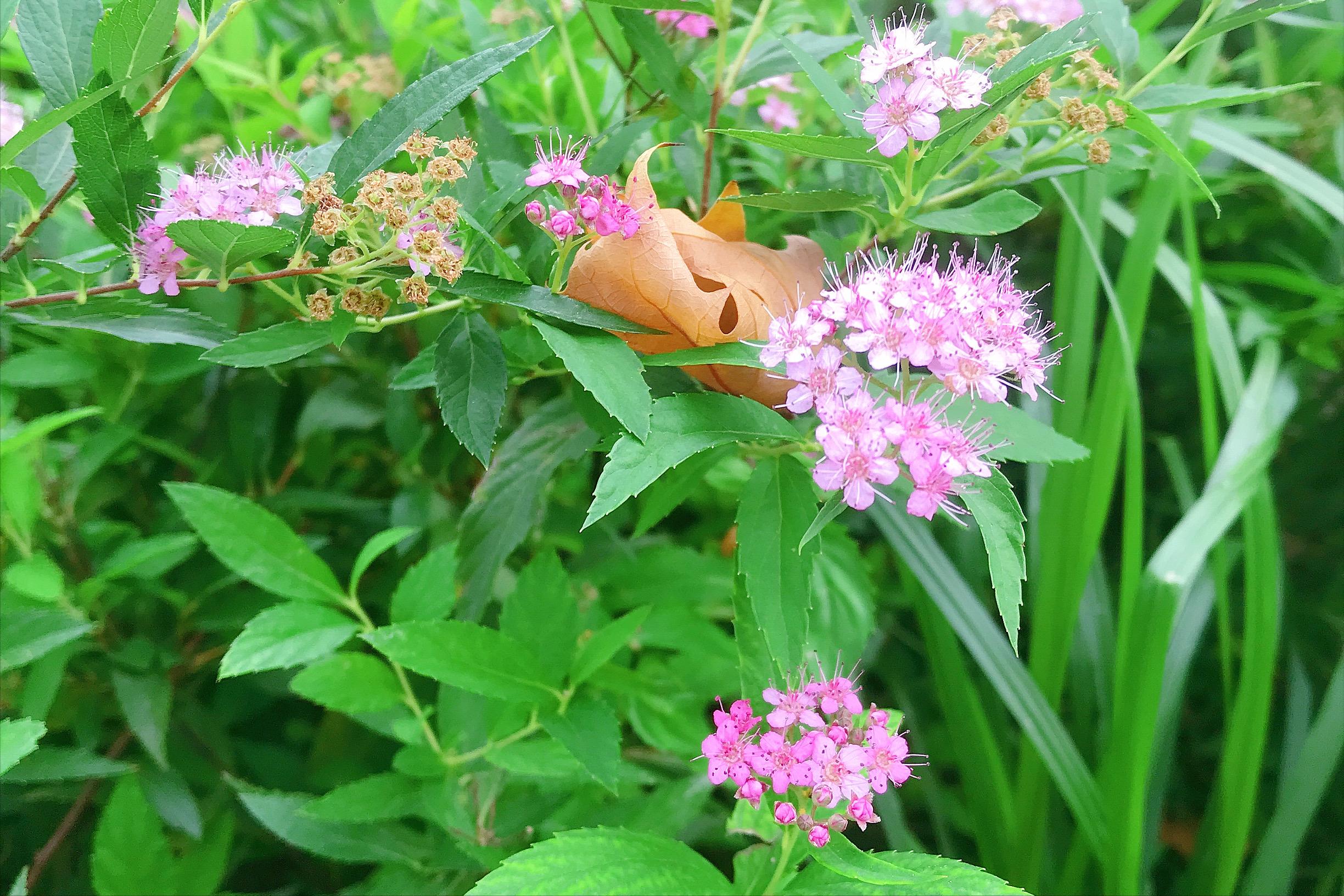 改掉刷手机的坏习惯,一刷手机就停不下来
