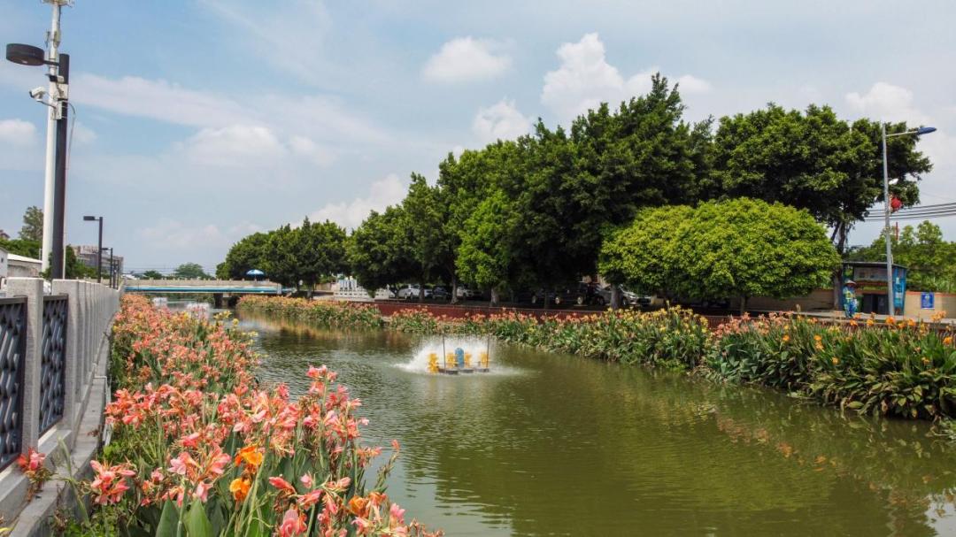 番禺夜晚打卡点,广州番禺区夜市游玩攻略