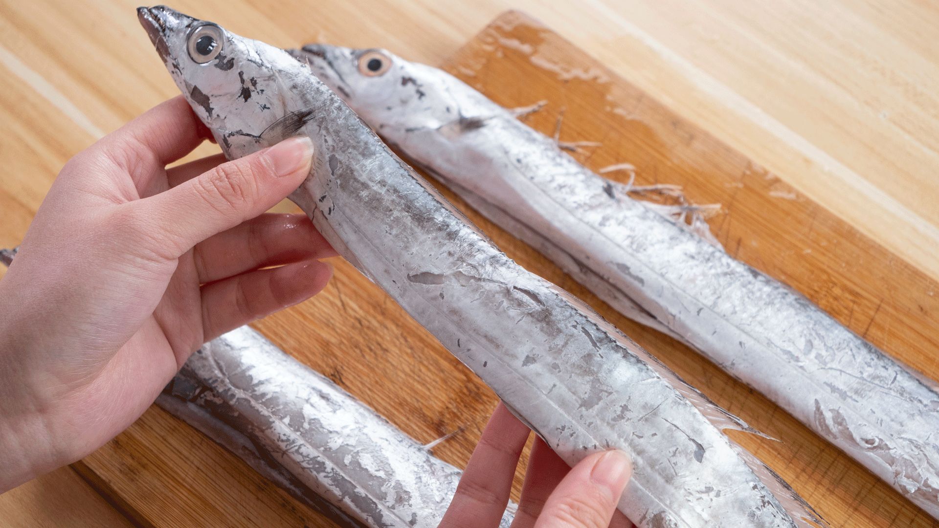 纯野生养殖不了的海鱼,如何挑野生海鱼跟养殖海鱼