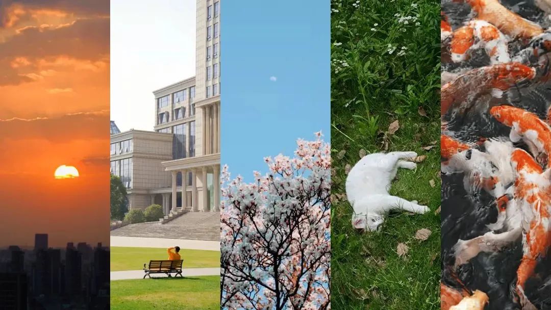 阔别1136天，你需要这份攻略～