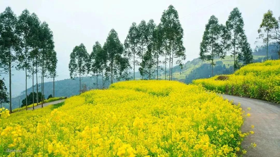 春节最值得一去的4个小众旅行地,春节川内游攻略