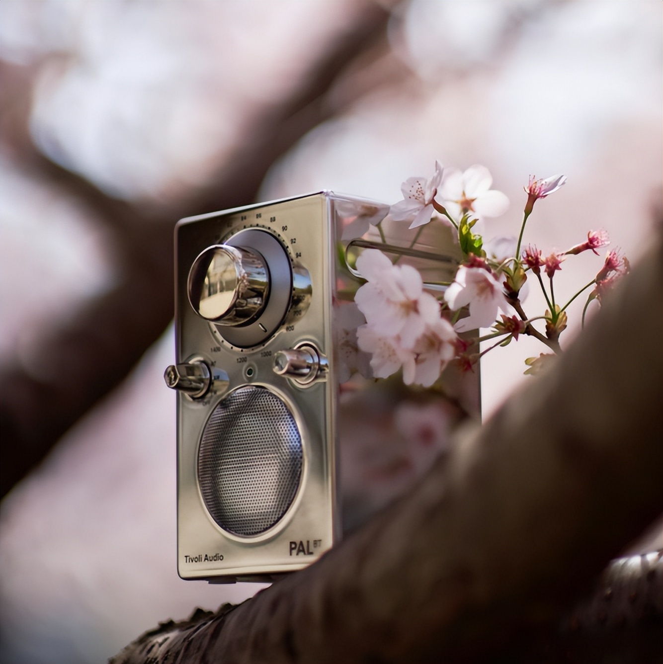 便携音箱测评|国庆出游好伴侣！被PALBT这台“彩色小野马”拿捏了