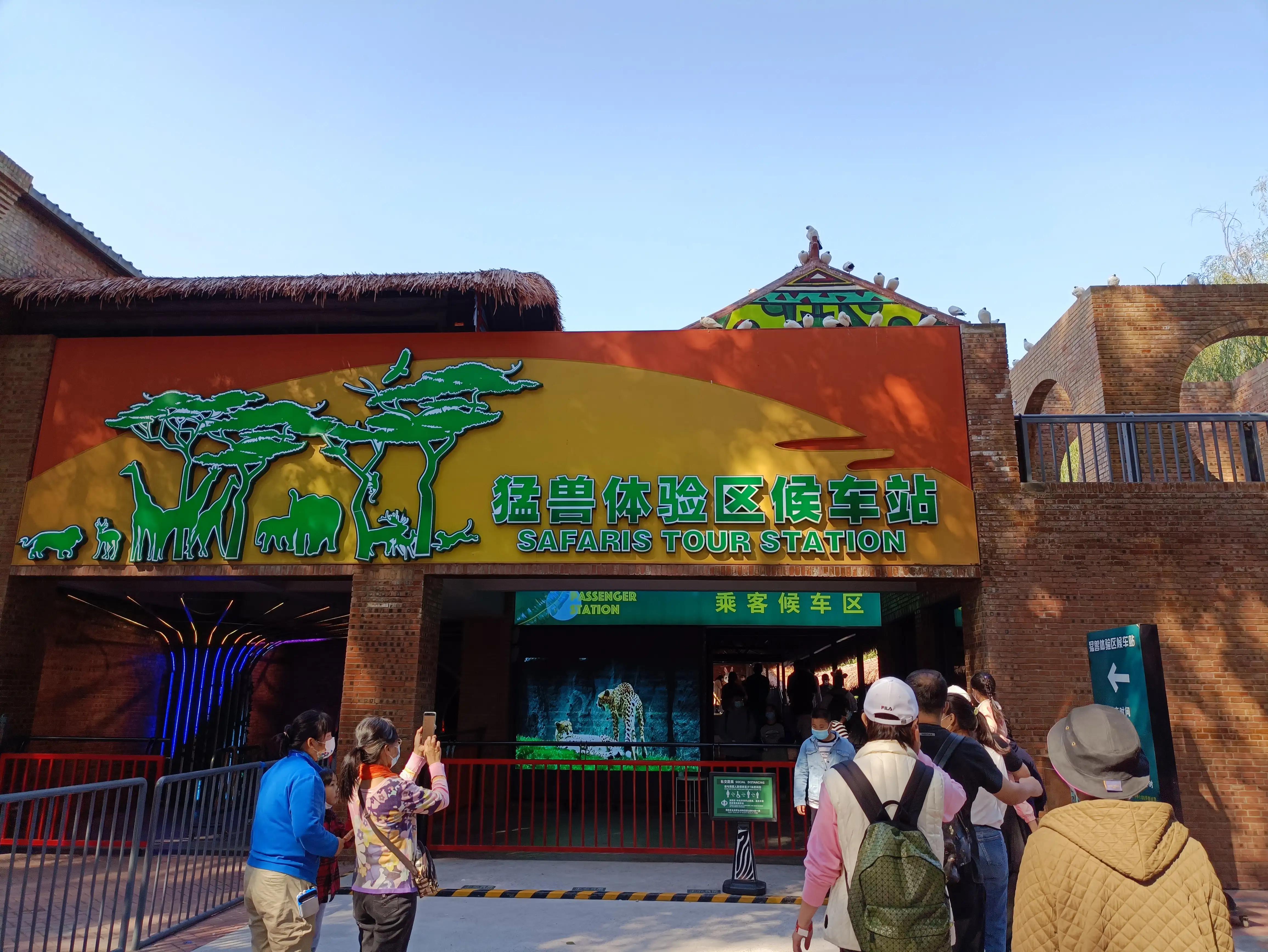 北京动物园和北京野生动物园区别,北京野生动物园狗妈妈和老虎狮子