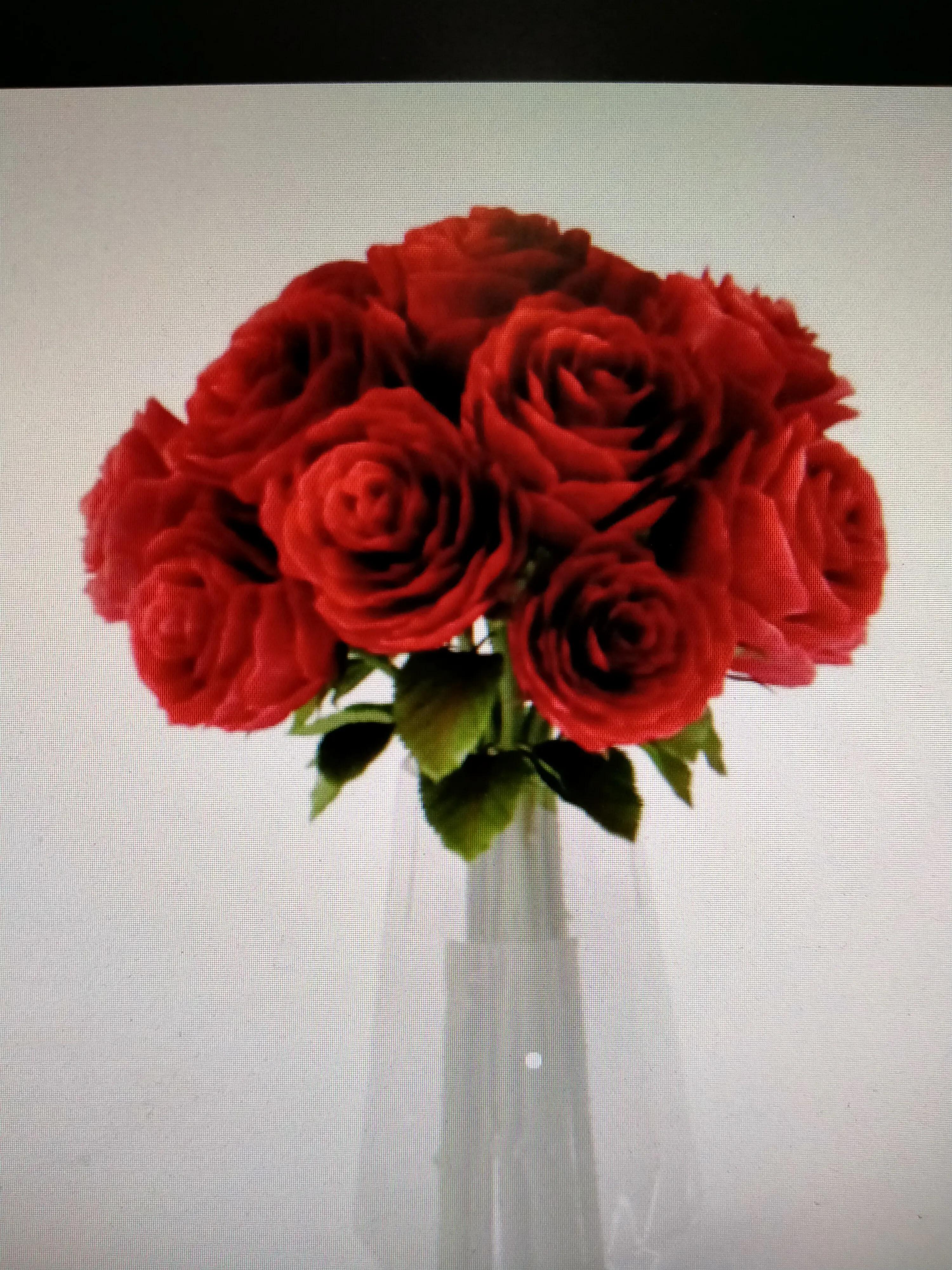 关于红玫瑰的搞笑说说,红玫瑰经典语录短句