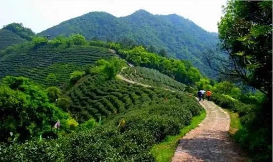 晚上杭州最值得去的五个景点,杭州名胜古迹旅游景点有哪些