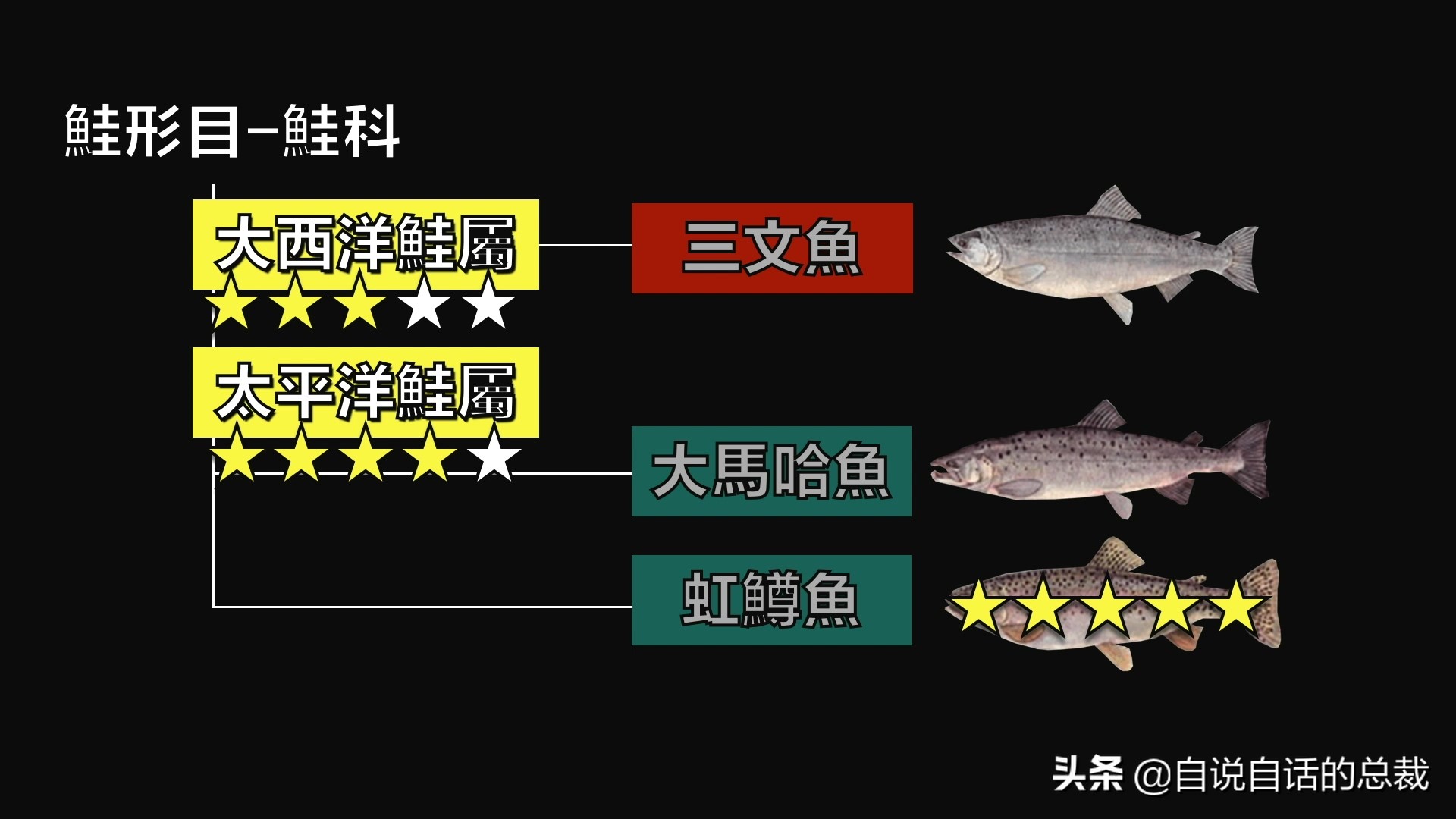 三文鱼水光真假分辨,哪种才是真正的三文鱼