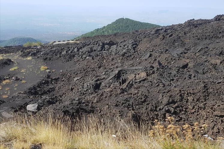 村委会收回宅基地使用权,村委会有权收回集体土地使用权吗