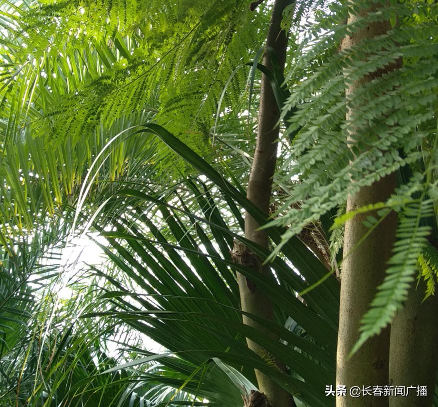 看过人世间你就会明白,看过人世间就懂得人情世故