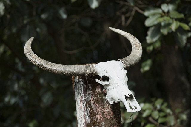 云南旅游为什么这么热门,云南的旅游为什么好