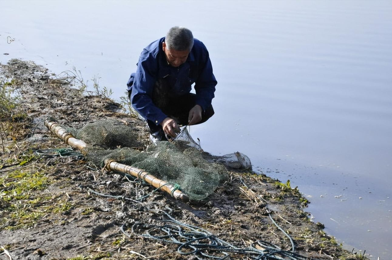 新疆姑娘回家被狼群包围,新疆姑娘遇到狼群