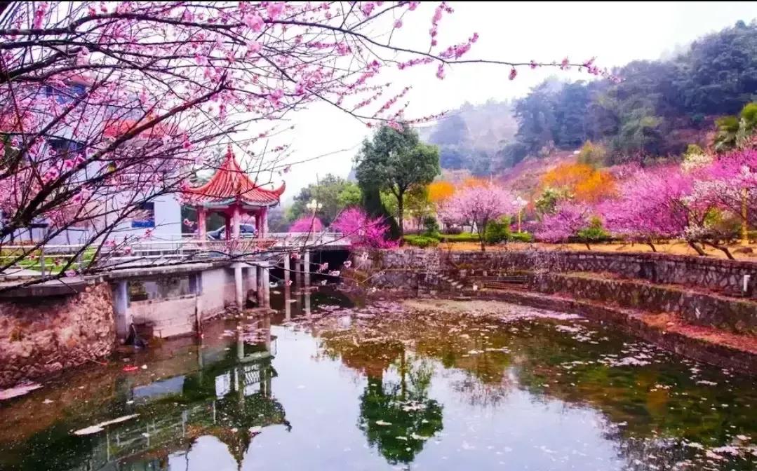 秒懂企业目标规划