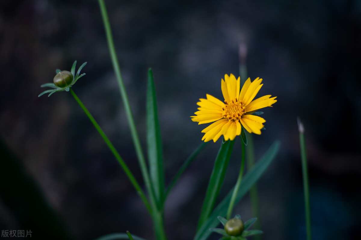 两个人关系冷淡应该怎么解决,两个人关系不好说明什么