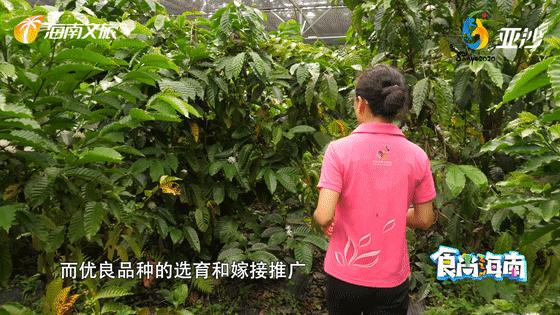 点进来，了解爱上兴隆“歌碧欧”的N个理由～