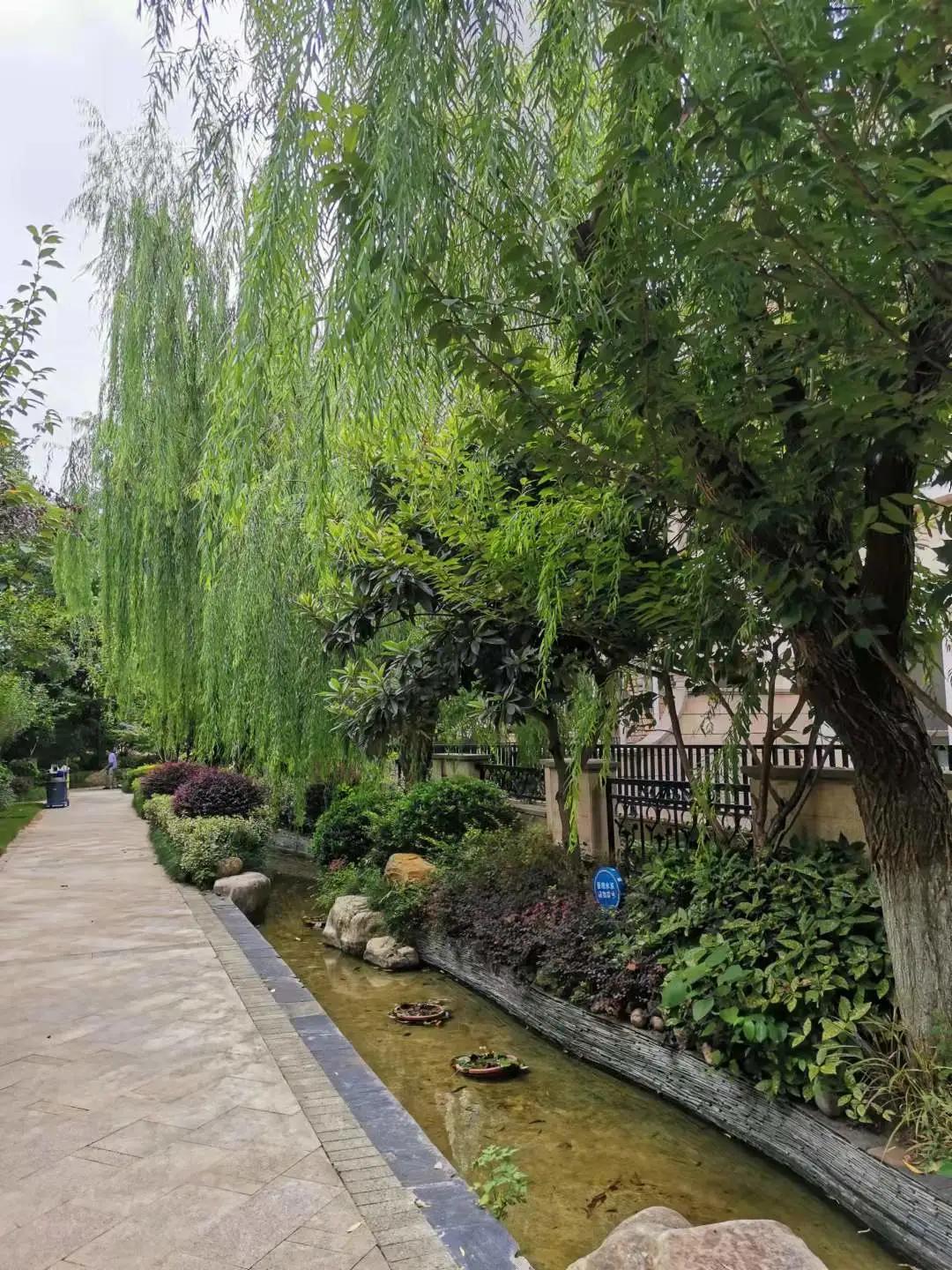 合肥房企排名前十名,合肥大房企排名