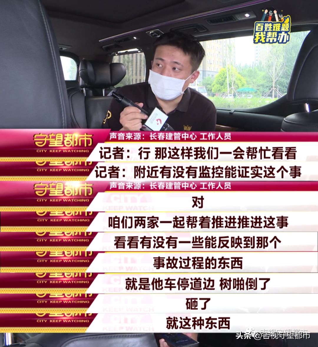 车停在小区被树砸了谁负责,车停路边被树砸伤谁负责