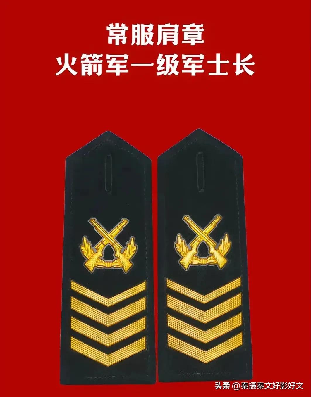 陆海空火箭军*警武**部队全套常服肩章和21式作业服套式肩章