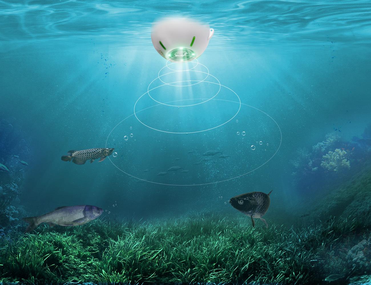 资深钓鱼人一般用什么探鱼器,为什么钓鱼尽量不要用探鱼器