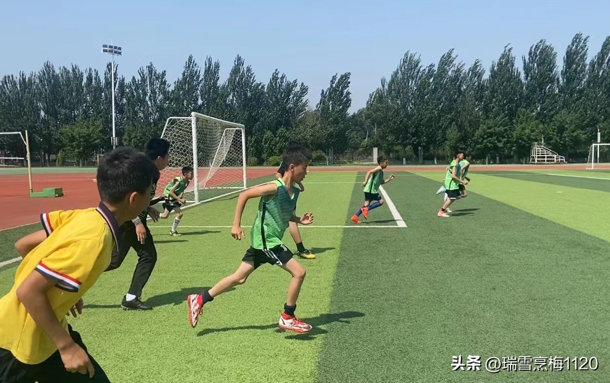 新城子街第一小学喜报,新城子街第一小学2017年