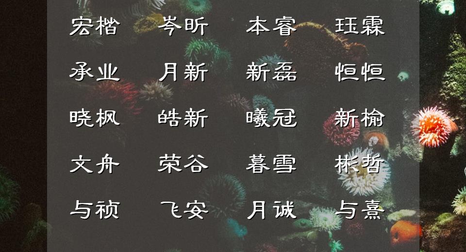 惊艳有诗意不俗男孩名字,具有诗意的男孩名字小众