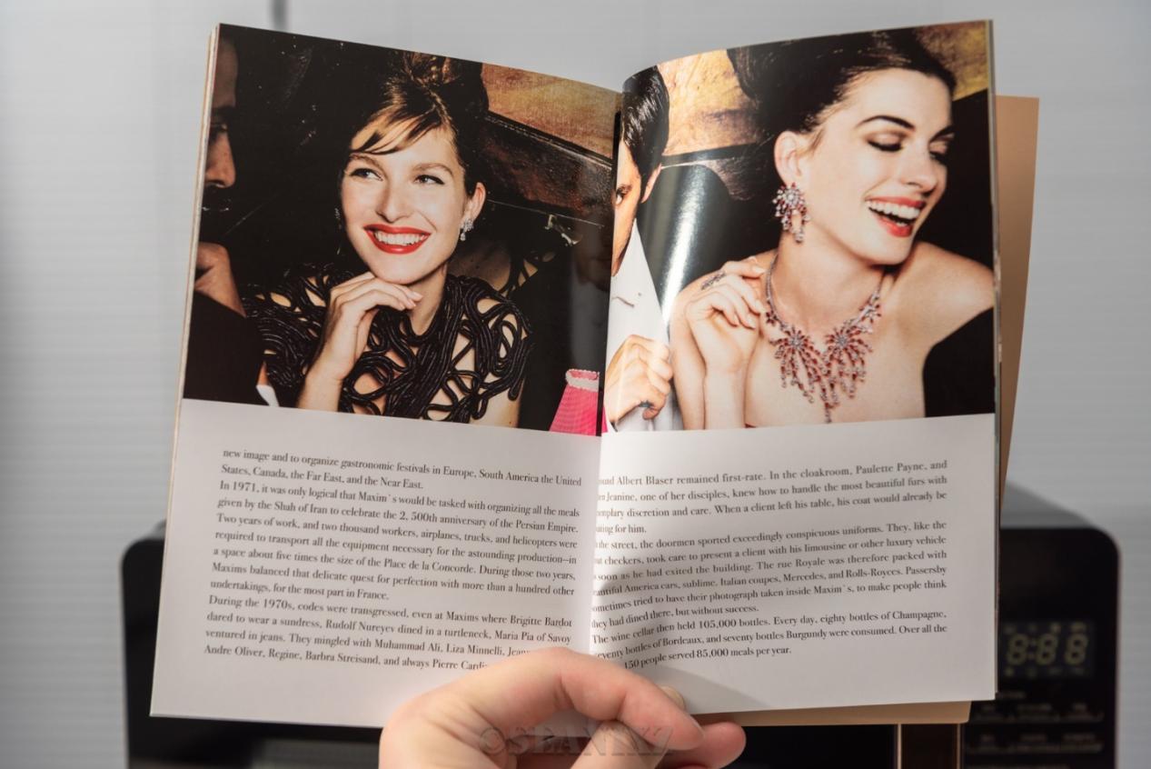 马克西姆卢瓦尔空气炸锅微波炉,马克西姆微波炉和蒸烤一体机测试