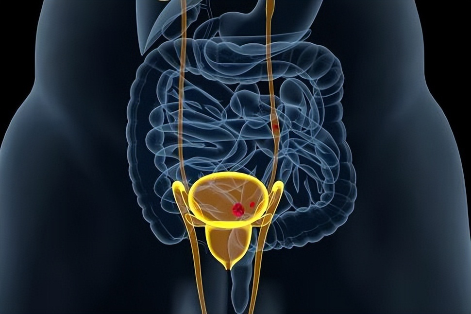 一个单身女青年的疑问,一位单身女性的疑惑