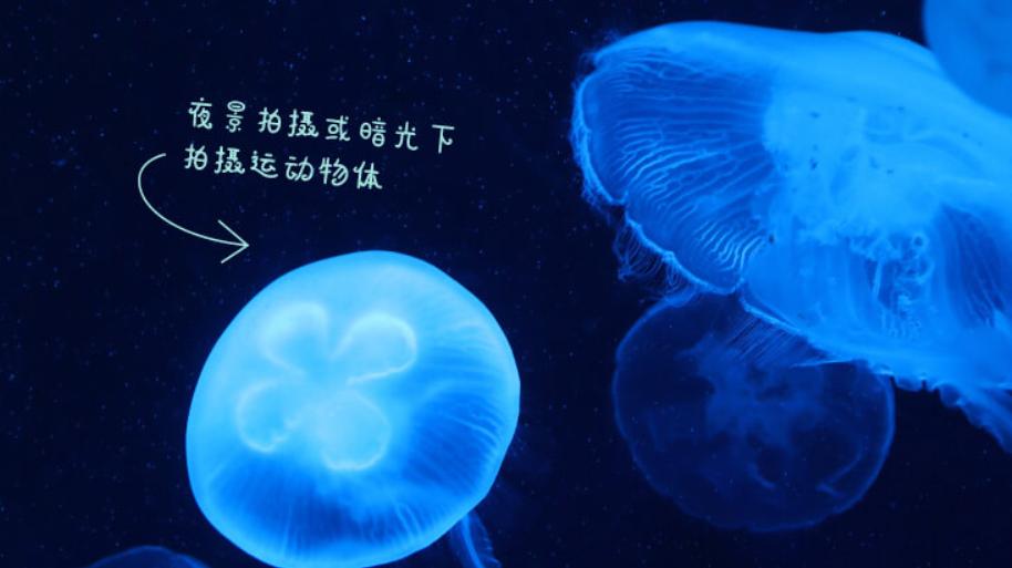 5000元微单相机选择佳能还是索尼,索尼尼康和佳能高端微单横向对比