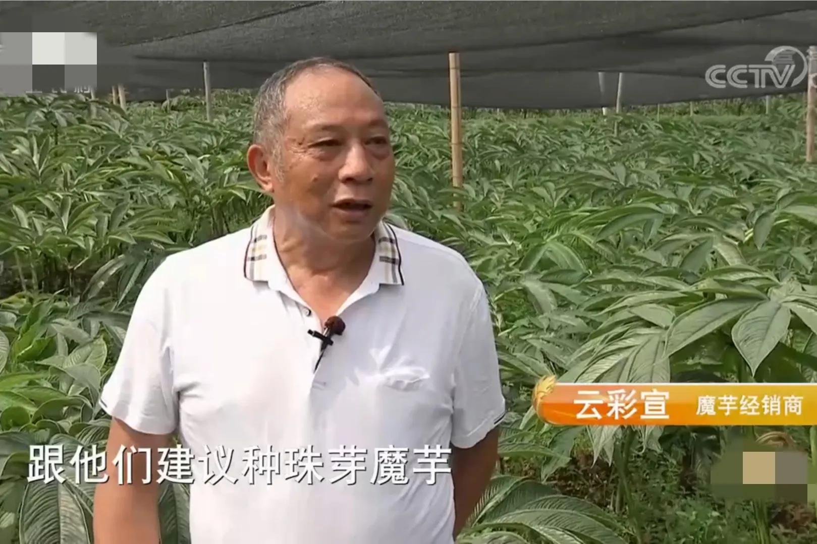 200亩荒山变成聚宝盆,愚公移苍山荒山化作聚宝盆