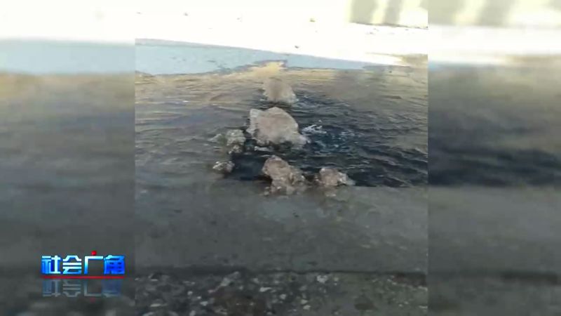 硝化细菌崩溃水质变浑怎么办,家里鱼池水质变浑怎么办