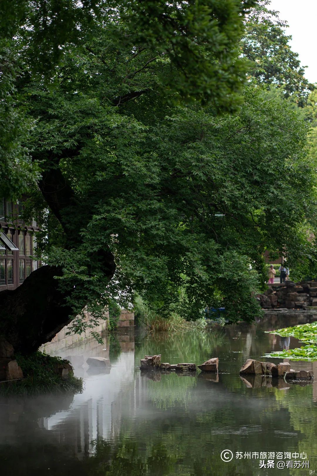 苏式园林庭院壁纸,苏州园林之夜壁纸