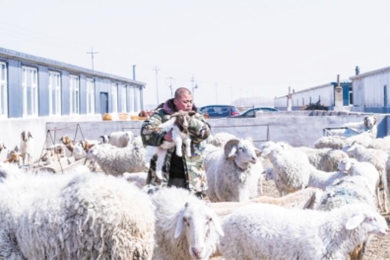 吉林贫困县通榆,通榆未来5年发展