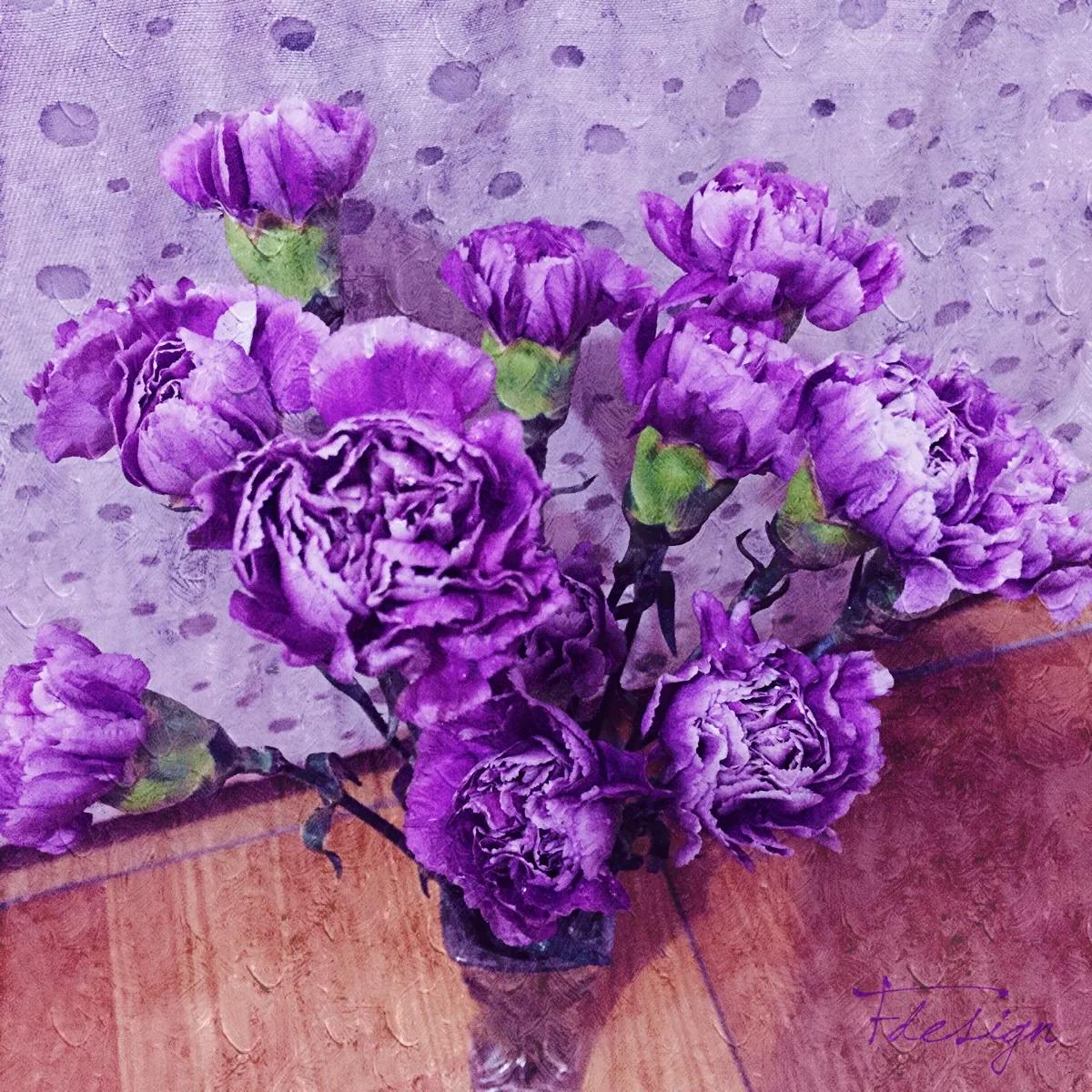 康乃馨花语朋友圈,康乃馨花语送女朋友