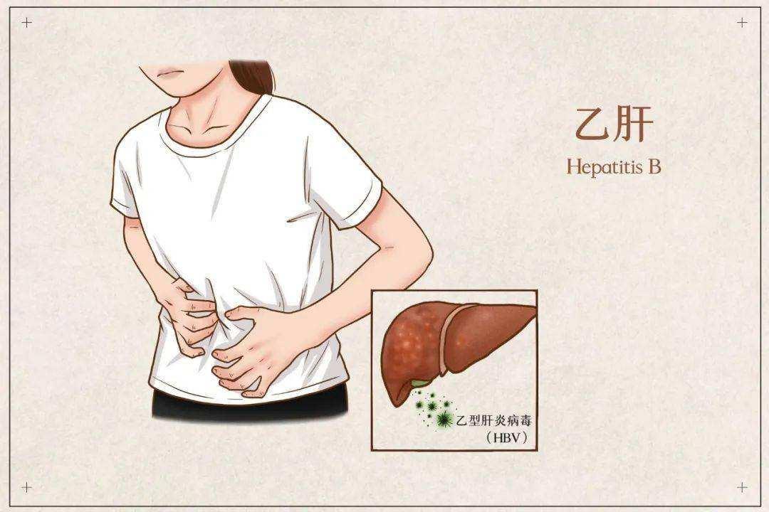 乙肝病毒携带者是不是不能吃羊肉,中医乙肝为什么不能吃羊肉