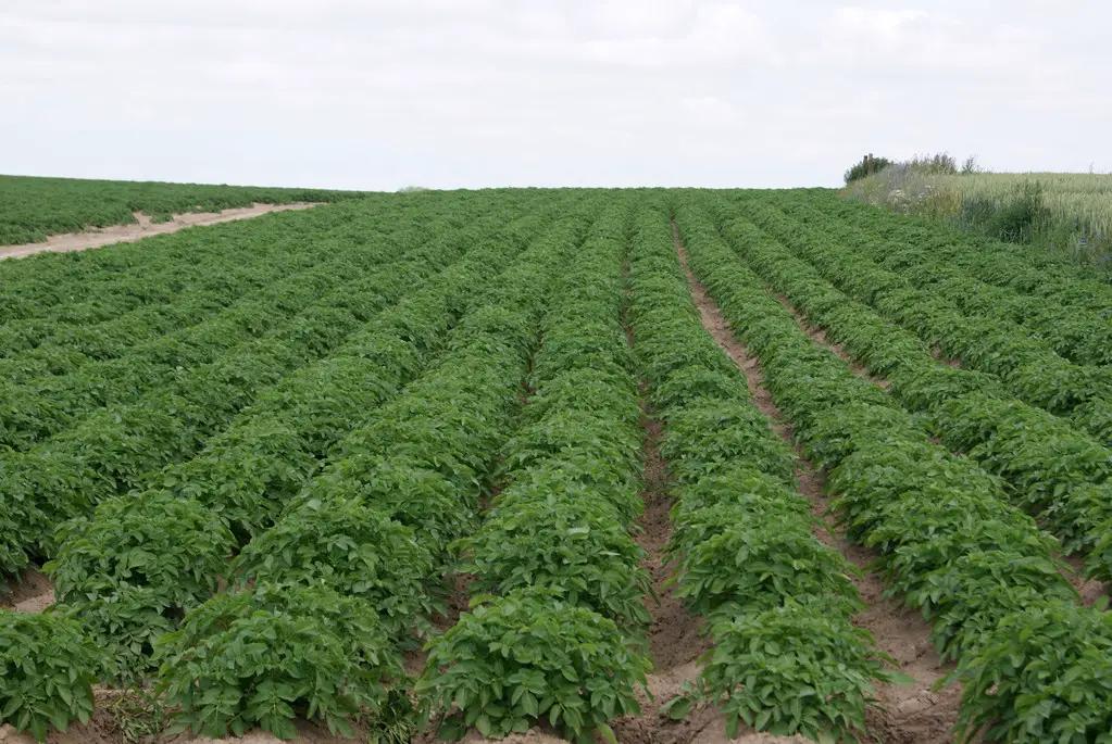 英国女王去世和我们有关吗,英国女王去世对英镑的影响