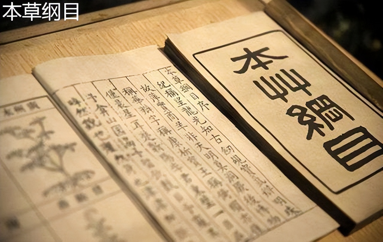 米醋白醋香醋陈醋的区别及用法,米醋白醋陈醋香醋有什么区别