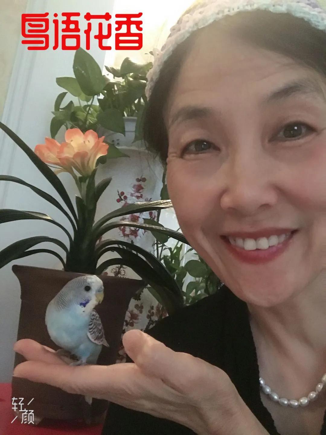 通人性的鹦鹉,通灵性的宠物鸟