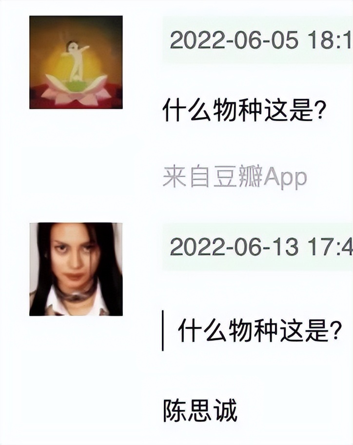 未来一年，这10位中年男演员将霸屏影院，沈腾王宝强黄渤全都来了