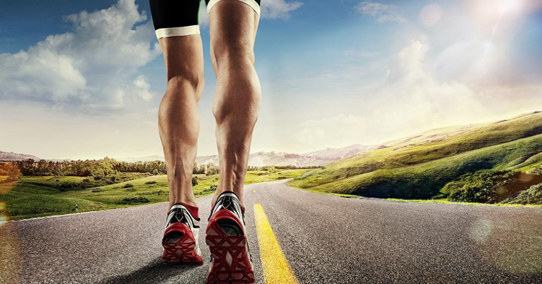 所有动物都会进化,所有的动物都进化吗