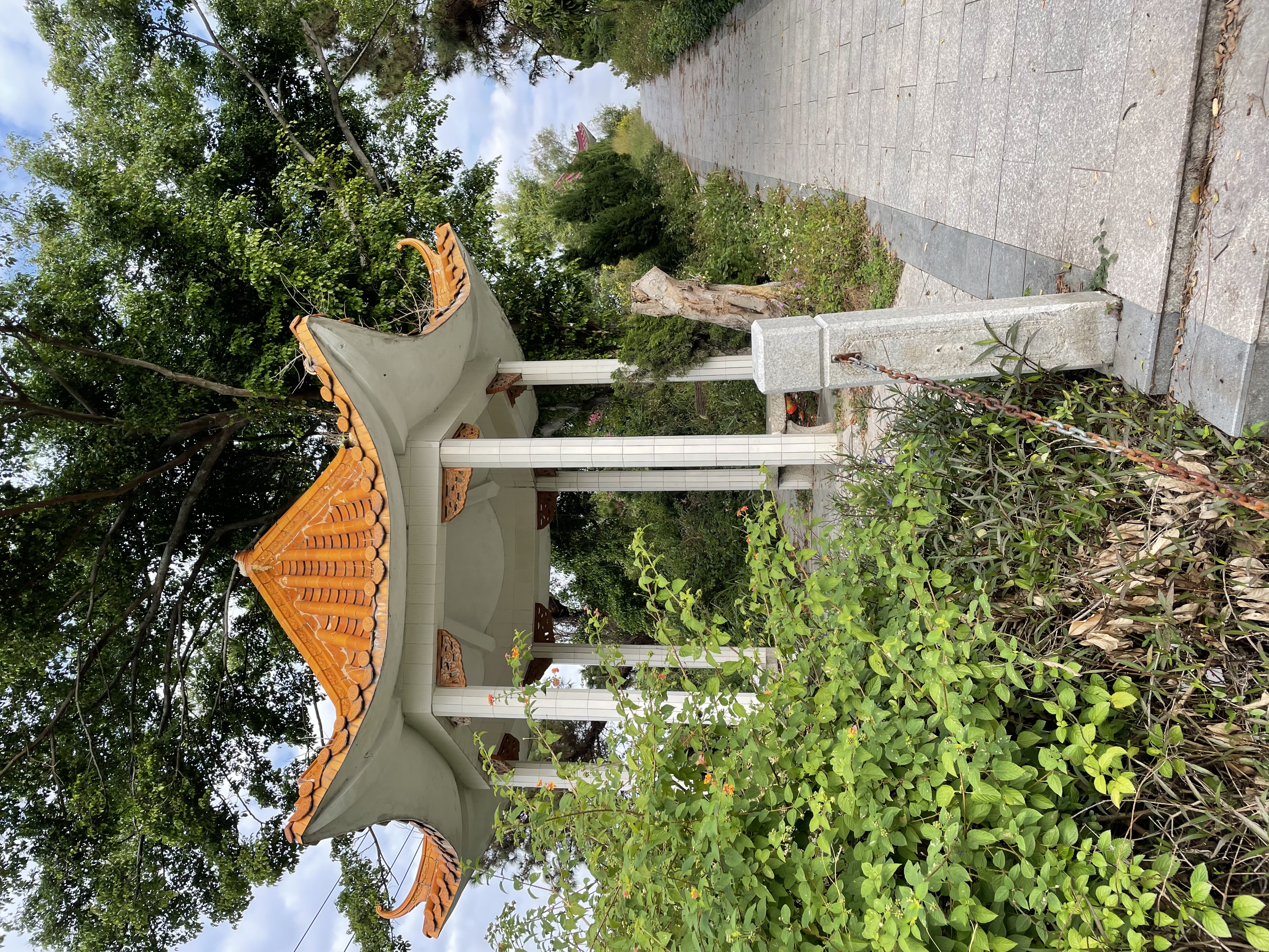 深圳沙湾公园风景区,宝安石岩湿地公园