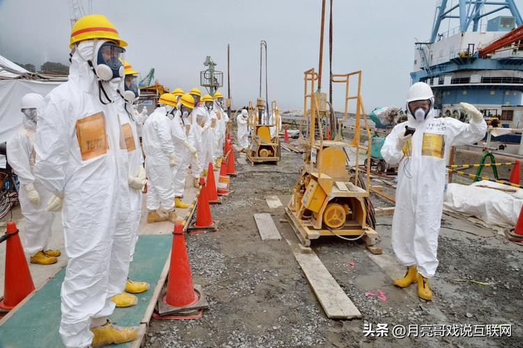 太仓港进口日本污染海鲜有什么,太仓港为什么进口日本海鲜