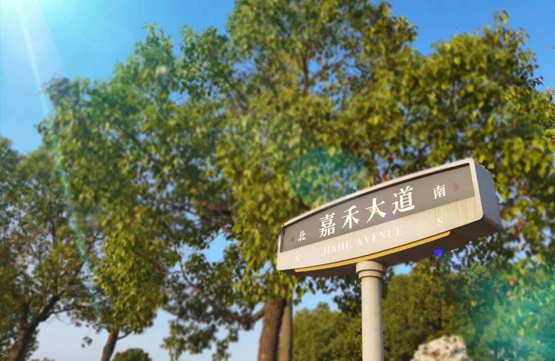 南京财经大学始建于哪一年,南京财经大学建校